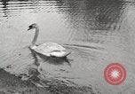 Image of Grant Park Atlanta Georgia USA, 1917, second 35 stock footage video 65675066820