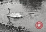Image of Grant Park Atlanta Georgia USA, 1917, second 36 stock footage video 65675066820