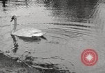 Image of Grant Park Atlanta Georgia USA, 1917, second 37 stock footage video 65675066820