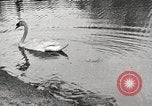 Image of Grant Park Atlanta Georgia USA, 1917, second 38 stock footage video 65675066820