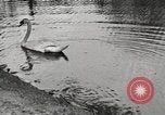 Image of Grant Park Atlanta Georgia USA, 1917, second 39 stock footage video 65675066820