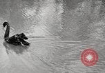 Image of Grant Park Atlanta Georgia USA, 1917, second 47 stock footage video 65675066820