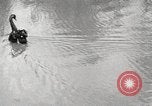 Image of Grant Park Atlanta Georgia USA, 1917, second 50 stock footage video 65675066820
