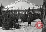 Image of Early 20th century downtown Denver landmarks Denver Colorado USA, 1917, second 10 stock footage video 65675066827