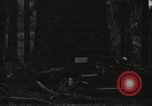 Image of commercial laundry equipment and operations early 20th century Chicago Illinois USA, 1917, second 1 stock footage video 65675066829