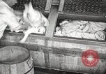 Image of commercial laundry operation and delivery early 1900s Chicago Illinois USA, 1917, second 1 stock footage video 65675066831