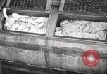 Image of commercial laundry operation and delivery early 1900s Chicago Illinois USA, 1917, second 4 stock footage video 65675066831