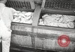 Image of commercial laundry operation and delivery early 1900s Chicago Illinois USA, 1917, second 5 stock footage video 65675066831