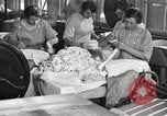 Image of commercial laundry operation and delivery early 1900s Chicago Illinois USA, 1917, second 14 stock footage video 65675066831