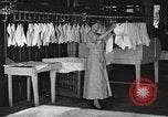 Image of commercial laundry operation and delivery early 1900s Chicago Illinois USA, 1917, second 47 stock footage video 65675066831