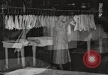 Image of commercial laundry operation and delivery early 1900s Chicago Illinois USA, 1917, second 49 stock footage video 65675066831