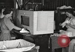 Image of commercial laundry operation and delivery early 1900s Chicago Illinois USA, 1917, second 51 stock footage video 65675066831