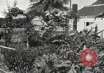 Image of Horticulturalist Luther Burbank and his experimental gardens Santa Rosa California USA, 1917, second 4 stock footage video 65675066832