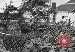 Image of Horticulturalist Luther Burbank and his experimental gardens Santa Rosa California USA, 1917, second 6 stock footage video 65675066832