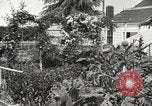 Image of Horticulturalist Luther Burbank and his experimental gardens Santa Rosa California USA, 1917, second 8 stock footage video 65675066832