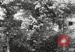Image of Horticulturalist Luther Burbank and his experimental gardens Santa Rosa California USA, 1917, second 11 stock footage video 65675066832