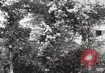 Image of Horticulturalist Luther Burbank and his experimental gardens Santa Rosa California USA, 1917, second 12 stock footage video 65675066832
