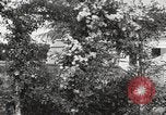 Image of Horticulturalist Luther Burbank and his experimental gardens Santa Rosa California USA, 1917, second 13 stock footage video 65675066832