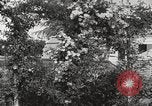 Image of Horticulturalist Luther Burbank and his experimental gardens Santa Rosa California USA, 1917, second 15 stock footage video 65675066832