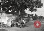 Image of Horticulturalist Luther Burbank and his experimental gardens Santa Rosa California USA, 1917, second 18 stock footage video 65675066832