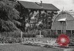 Image of Horticulturalist Luther Burbank and his experimental gardens Santa Rosa California USA, 1917, second 27 stock footage video 65675066832