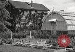 Image of Horticulturalist Luther Burbank and his experimental gardens Santa Rosa California USA, 1917, second 30 stock footage video 65675066832