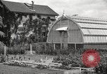 Image of Horticulturalist Luther Burbank and his experimental gardens Santa Rosa California USA, 1917, second 33 stock footage video 65675066832