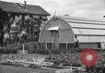 Image of Horticulturalist Luther Burbank and his experimental gardens Santa Rosa California USA, 1917, second 35 stock footage video 65675066832