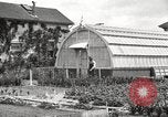 Image of Horticulturalist Luther Burbank and his experimental gardens Santa Rosa California USA, 1917, second 36 stock footage video 65675066832