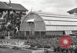 Image of Horticulturalist Luther Burbank and his experimental gardens Santa Rosa California USA, 1917, second 38 stock footage video 65675066832