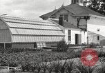 Image of Horticulturalist Luther Burbank and his experimental gardens Santa Rosa California USA, 1917, second 40 stock footage video 65675066832