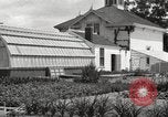 Image of Horticulturalist Luther Burbank and his experimental gardens Santa Rosa California USA, 1917, second 41 stock footage video 65675066832