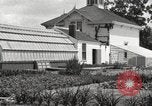 Image of Horticulturalist Luther Burbank and his experimental gardens Santa Rosa California USA, 1917, second 42 stock footage video 65675066832