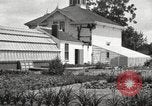 Image of Horticulturalist Luther Burbank and his experimental gardens Santa Rosa California USA, 1917, second 44 stock footage video 65675066832