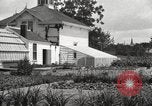 Image of Horticulturalist Luther Burbank and his experimental gardens Santa Rosa California USA, 1917, second 48 stock footage video 65675066832