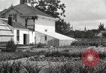 Image of Horticulturalist Luther Burbank and his experimental gardens Santa Rosa California USA, 1917, second 49 stock footage video 65675066832
