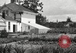 Image of Horticulturalist Luther Burbank and his experimental gardens Santa Rosa California USA, 1917, second 50 stock footage video 65675066832