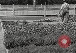 Image of Horticulturalist Luther Burbank and his experimental gardens Santa Rosa California USA, 1917, second 52 stock footage video 65675066832