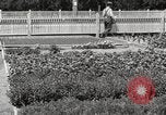 Image of Horticulturalist Luther Burbank and his experimental gardens Santa Rosa California USA, 1917, second 55 stock footage video 65675066832