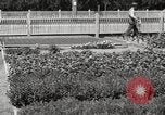 Image of Horticulturalist Luther Burbank and his experimental gardens Santa Rosa California USA, 1917, second 56 stock footage video 65675066832