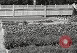 Image of Horticulturalist Luther Burbank and his experimental gardens Santa Rosa California USA, 1917, second 57 stock footage video 65675066832
