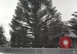 Image of Horticulturalist Luther Burbank and his experimental gardens Santa Rosa California USA, 1917, second 60 stock footage video 65675066832
