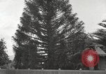 Image of Horticulturalist Luther Burbank and his experimental gardens Santa Rosa California USA, 1917, second 61 stock footage video 65675066832