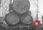 Standbild schwerfälligen United States USA, 1917, aus Sekunde 5 historischem Filmmaterial Videoclip 65675066833