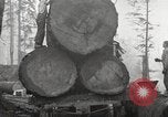 Standbild schwerfälligen United States USA, 1917, aus Sekunde 7 historischem Filmmaterial Videoclip 65675066833