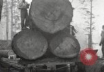 Standbild schwerfälligen United States USA, 1917, aus Sekunde 8 historischem Filmmaterial Videoclip 65675066833