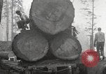 Standbild schwerfälligen United States USA, 1917, aus Sekunde 9 historischem Filmmaterial Videoclip 65675066833