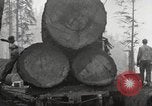 Standbild schwerfälligen United States USA, 1917, aus Sekunde 10 historischem Filmmaterial Videoclip 65675066833