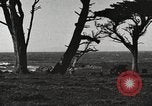 Standbild chinesischen Dschunke California United States USA, 1917, aus Sekunde 4 historischem Filmmaterial Videoclip 65675066834