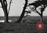 Standbild chinesischen Dschunke California United States USA, 1917, aus Sekunde 11 historischem Filmmaterial Videoclip 65675066834